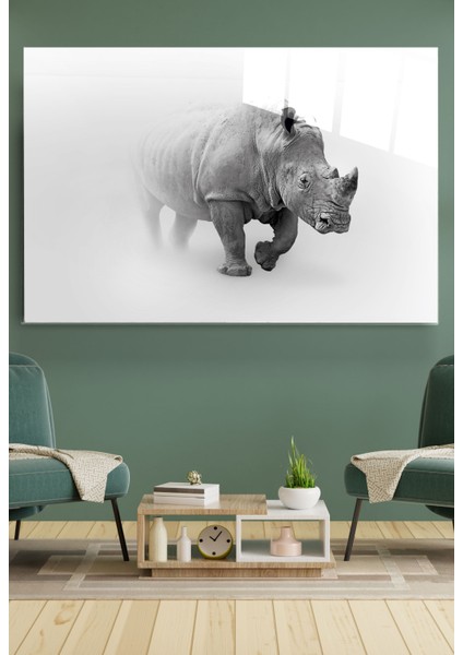 Gergedan Cam Tablo, Dekoratif Cam Tablo