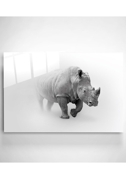 Gergedan Cam Tablo, Dekoratif Cam Tablo fiyatları