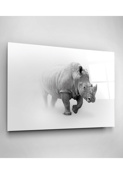 Gergedan Cam Tablo, Dekoratif Cam Tablo modelleri