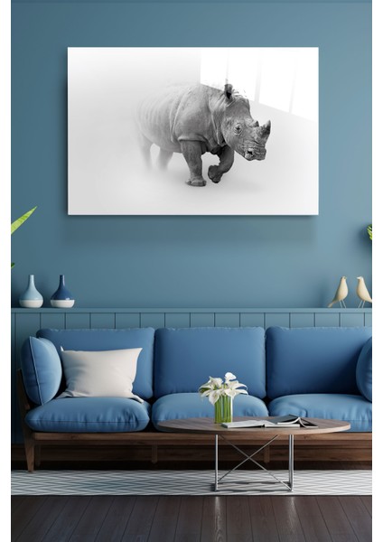 Gergedan Cam Tablo, Dekoratif Cam Tablo fırsatları