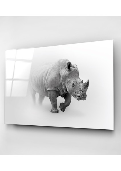 Gergedan Cam Tablo, Dekoratif Cam Tablo indirimleri