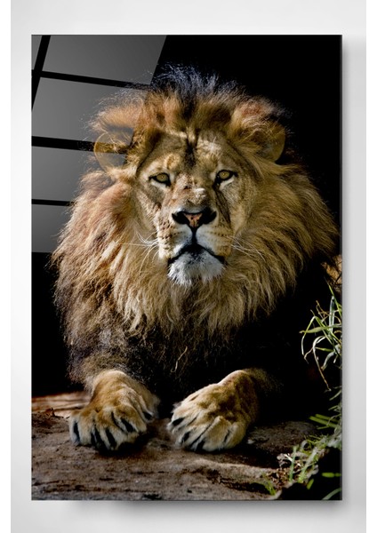 Aslan Cam Tablo, Dekoratif Cam Tablo