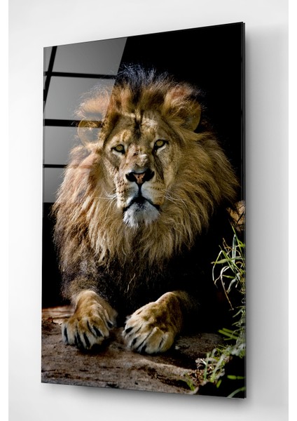 Aslan Cam Tablo, Dekoratif Cam Tablo fırsatları