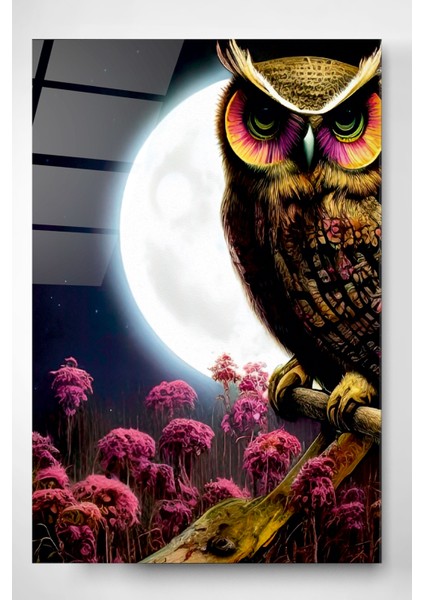 Dolunay ve Baykuş Cam Tablo, Dekoratif Cam Tablo