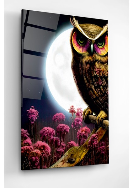 Dolunay ve Baykuş Cam Tablo, Dekoratif Cam Tablo modelleri