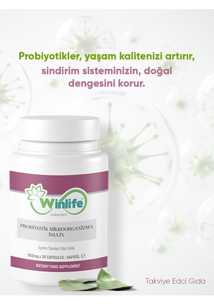 Probiyotik Mikroorganizma Inülin modelleri