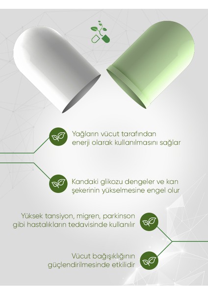 L_karnitin/koenzim Q10/YEŞIL Çay 60 Kapsül fiyatları