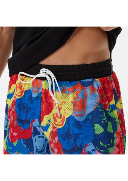 Franchise 622004.01 Şort fırsatları