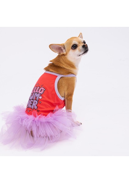 Nar Çiçeği Hello Summer Kedi Köpek Elbisesi - Kedi Köpek Kıyafeti Large