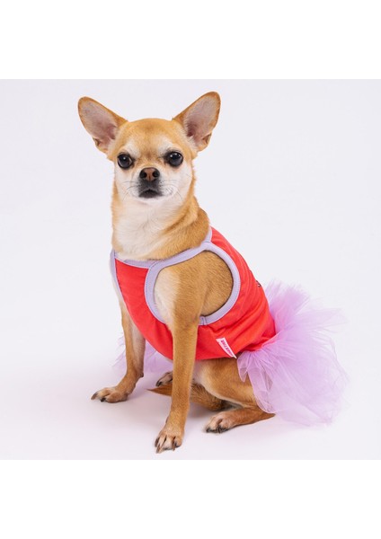 Nar Çiçeği Hello Summer Kedi Köpek Elbisesi - Kedi Köpek Kıyafeti Large modelleri