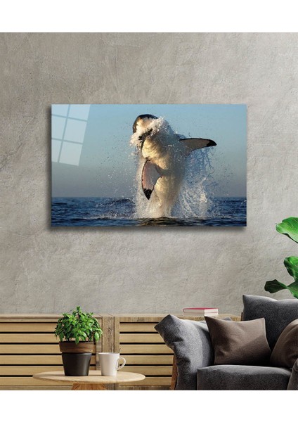 Ena Home Decor  Köpek Balığı Cam Tablo Shark