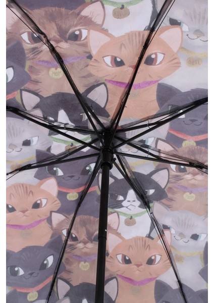 Kedi Şemsiye 3 Katlamalı / Manuel fırsatları