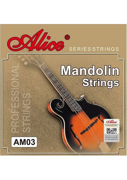 AM03 Mandolin Teli Takım