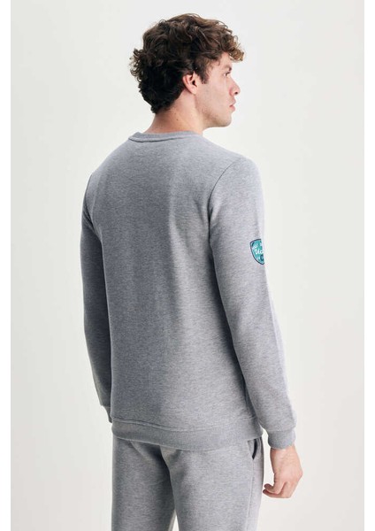 Solano Gri Bisiklet Yaka Nakışlı Standard Fit Erkek Sweatshirt