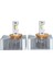 Led Far Ampulü D5S R 70W 16000Lm 6000K Beyaz Canbus 12V Laam928 - Tk 1