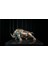 Rhino Bronz Heykel 1