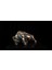 Rhino Bronz Heykel 2