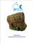 Batmış Hazine Sandığı Akvaryum Dekoru 7X7X6CM 1