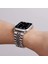 Apple Watch Uyumlu 38-40-41MM Rolex Metal Kordon 4
