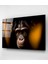 Monkey Cam Tablo, Dekoratif Cam Tablo 4