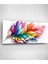 Renkli Tüy Cam Tablo, Dekoratif Cam Tablo 2