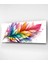 Renkli Tüy Cam Tablo, Dekoratif Cam Tablo 4