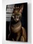 Kral Kedi Cam Tablo, Dekoratif Cam Tablo 5