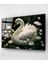 Beyaz Kuğu Cam Tablo, Dekoratif Tablo 5