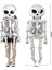Halloween İskelet Adam Şekilli Süpershape Folyo Balon 1 Adet 158X86 cm 2