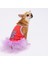 Nar Çiçeği Hello Summer Kedi Köpek Elbisesi - Kedi Köpek Kıyafeti Large 1