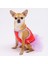 Nar Çiçeği Hello Summer Kedi Köpek Elbisesi - Kedi Köpek Kıyafeti Large 3