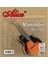 AM03 Mandolin Teli Takım 1