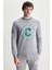 Solano Gri Bisiklet Yaka Nakışlı Standard Fit Erkek Sweatshirt 1