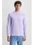 Valley Lila Bisiklet Yaka Baskılı Standard Fit Erkek Sweatshirt 2