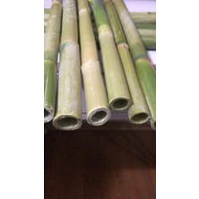 Kargı 50 Lik 2 Ile 3 cm Dekorasyon Için Bambu