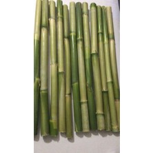Kargı 50 Lik 2 Ile 3 cm Dekorasyon Için Bambu