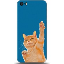 Noprin Apple iPhone 5 / 5s Kılıf Hd Baskılı Kılıf - Followed Institution 0055