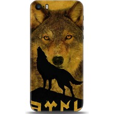 Noprin Apple iPhone 5 / 5s Kılıf Hd Baskılı Kılıf - Followed Institution 0154