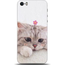 Noprin Apple iPhone 5 / 5s Kılıf Hd Baskılı Kılıf - Followed Institution 0019