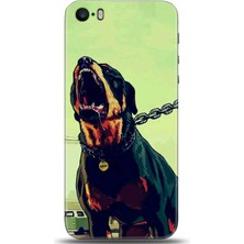 Noprin Apple iPhone 5 / 5s Kılıf Hd Baskılı Kılıf - Followed Institution 0295