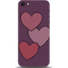 Noprin Apple iPhone 5 / 5s Kılıf Hd Baskılı Kılıf - Followed Institution 0700