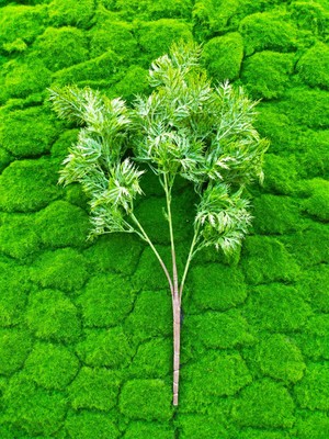 Ddtrend Islak Doku Yapay Çiçek Saksı Demeti Dikey Bahçe Balkon Dekorasyon Saksı Vazo Bitkisi 1. Kalite Ithal