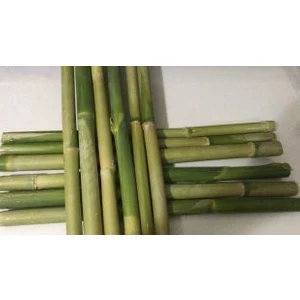 Kargı 50 Lik 2 Ile 3 cm Dekorasyon Için Bambu