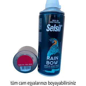 Renk Yapı Rüyası Çamaşır Makinesi Boyamak Için Sprey Boya Kolya Kullanım Kapatıcılığı Yüksek Isıya Dayanıklı