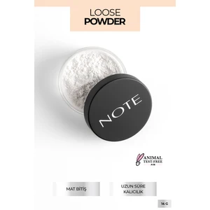 Loose Powder Makyaj Sabitleyici Matlaştırıcı Toz Pudra - 01 Invisible