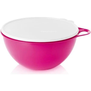 Mikser Kabım 4.5l Fuşya