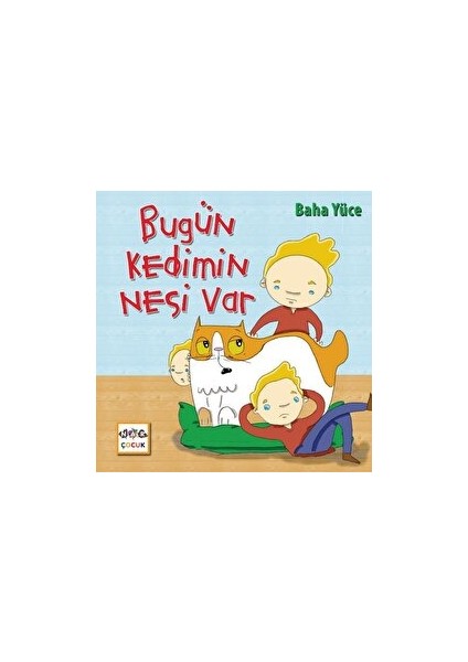 Bugün Kedimin Nesi Var - Baha Yüze