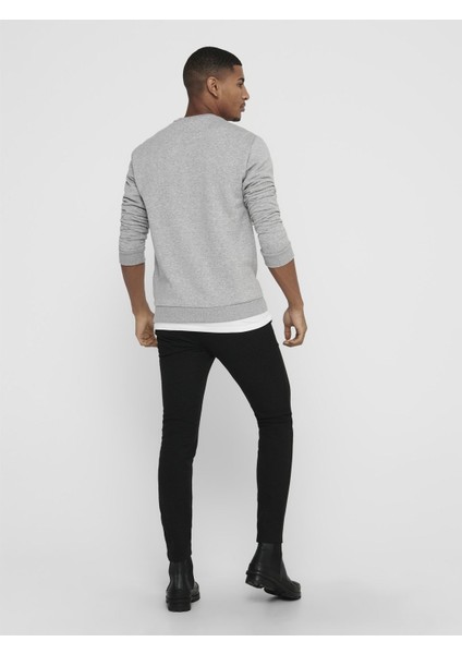 Ceres Life Crew Neck Erkek Gri Sweatshirt fiyatları