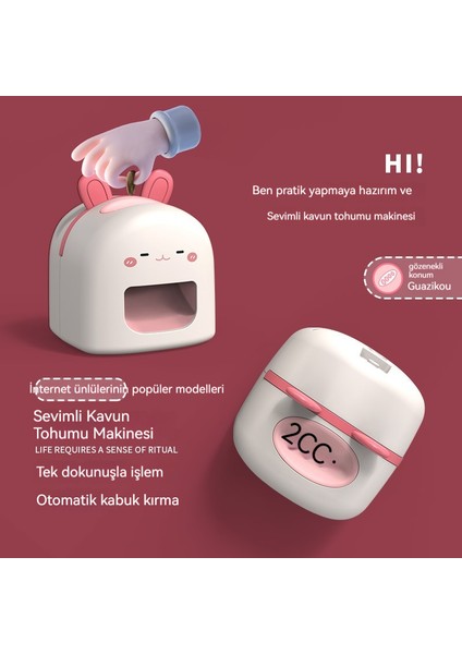 Aile Kavun Tohumları Eseri (Yurt Dışından) fırsatları