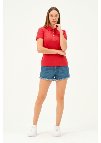 Kadın Regular Fit Polo Yaka Tshirt